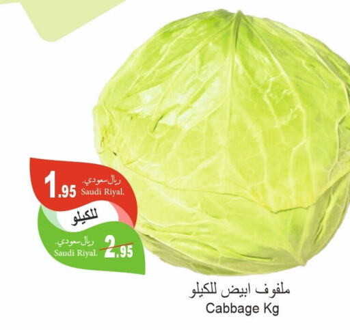  Cabbage  in Al Hafeez Hypermarket in KSA, Saudi Arabia, Saudi - Al Hasa