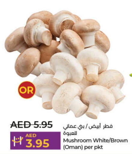  Mushroom  in لولو هايبرماركت in الإمارات العربية المتحدة , الامارات - أم القيوين‎