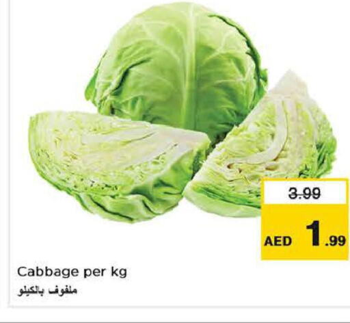  Cabbage  in لاست تشانس in الإمارات العربية المتحدة , الامارات - ٱلْفُجَيْرَة‎