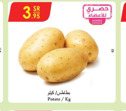  Potato  in Danube in KSA, Saudi Arabia, Saudi - Unayzah