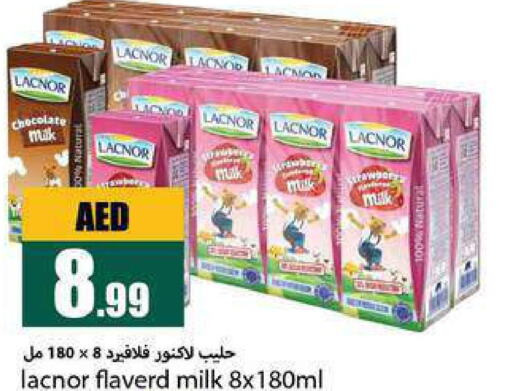 LACNOR Flavoured Milk  in  روابي ماركت عجمان in الإمارات العربية المتحدة , الامارات - الشارقة / عجمان