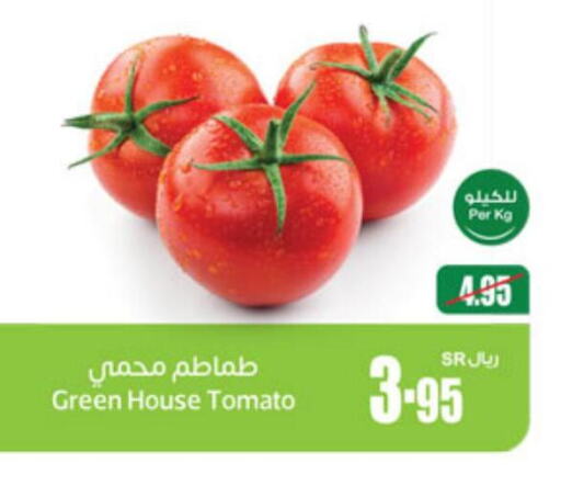  Tomato  in أسواق عبد الله العثيم in مملكة العربية السعودية, السعودية, سعودية - سيهات
