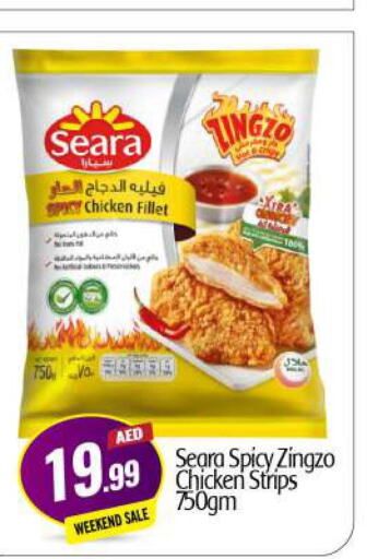 SEARA Chicken Fillet  in BIGmart in UAE - Abu Dhabi