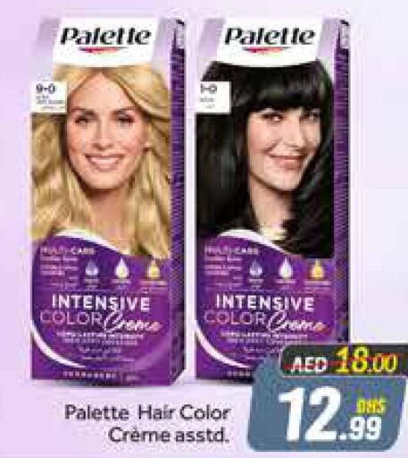 PALETTE Hair Colour  in Azhar Al Madina Hypermarket in UAE - Dubai