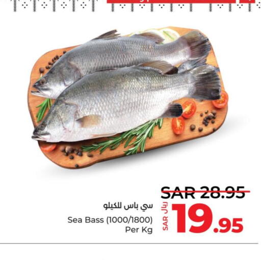  King Fish  in لولو هايبرماركت in مملكة العربية السعودية, السعودية, سعودية - خميس مشيط