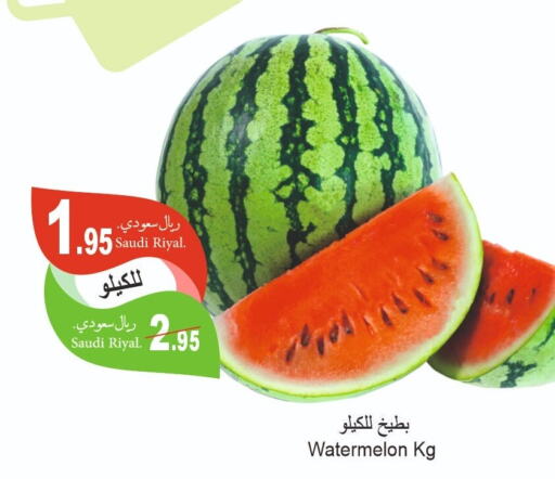  Watermelon  in اسواق الحفيز in مملكة العربية السعودية, السعودية, سعودية - الأحساء‎