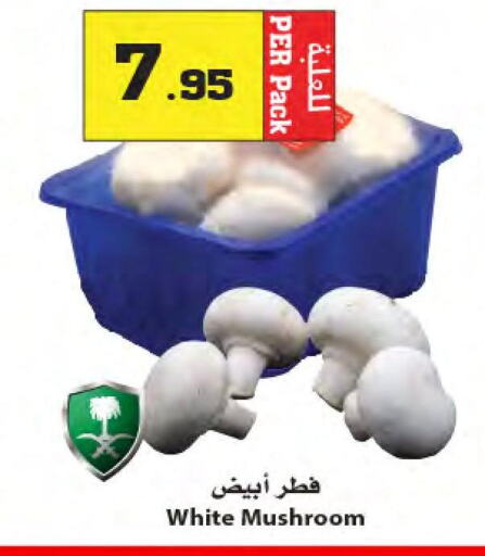 Mushroom  in Star Markets in KSA, Saudi Arabia, Saudi - Yanbu