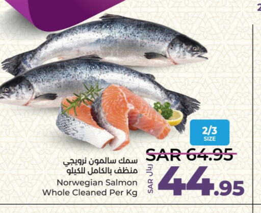  King Fish  in LULU Hypermarket in KSA, Saudi Arabia, Saudi - Khamis Mushait