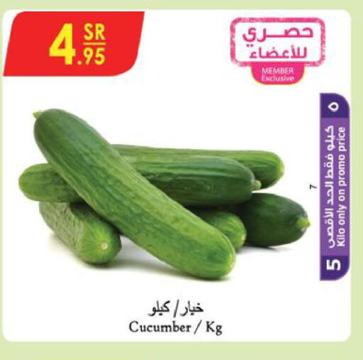  Cucumber  in Danube in KSA, Saudi Arabia, Saudi - Tabuk
