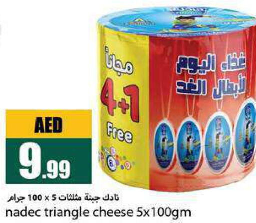NADEC Triangle Cheese  in  روابي ماركت عجمان in الإمارات العربية المتحدة , الامارات - الشارقة / عجمان