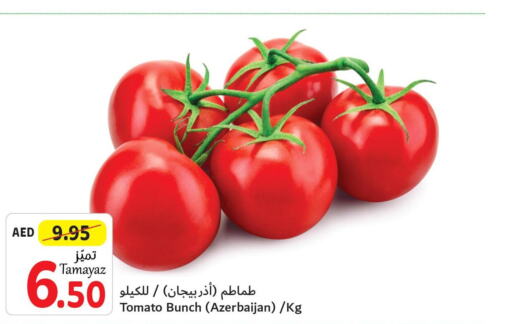  Tomato  in تعاونية الاتحاد in الإمارات العربية المتحدة , الامارات - أبو ظبي