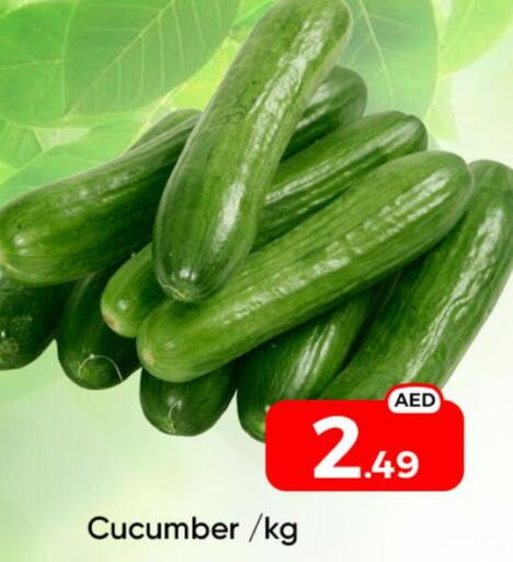  Cucumber  in مبارك هايبرماركت الشارقة in الإمارات العربية المتحدة , الامارات - الشارقة / عجمان