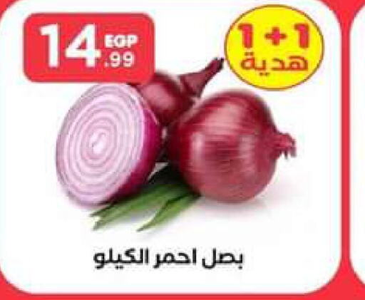  Onion  in El Mahlawy Stores in Egypt - Cairo