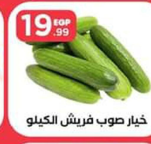 Cucumber  in El Mahlawy Stores in Egypt - Cairo
