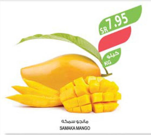  Mango  in المزرعة in مملكة العربية السعودية, السعودية, سعودية - الجبيل‎