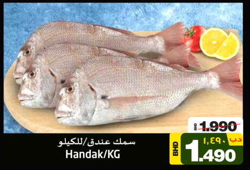  King Fish  in نستو in البحرين