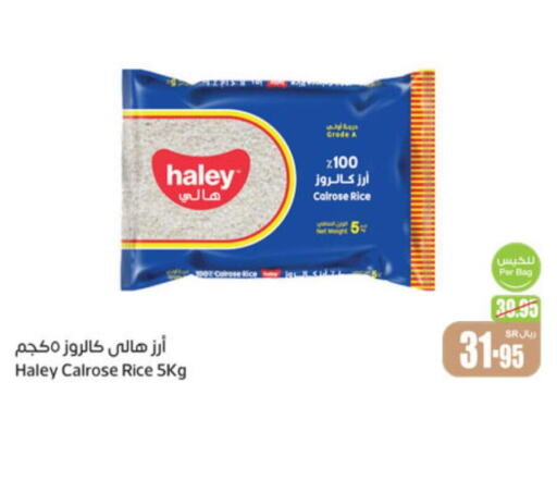 HALEY Egyptian / Calrose Rice  in Othaim Markets in KSA, Saudi Arabia, Saudi - Al Hasa