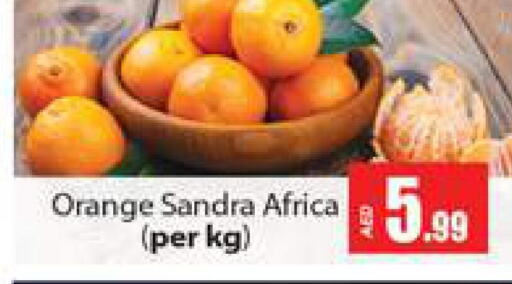  Orange  in Gulf Hypermarket LLC in UAE - Ras al Khaimah