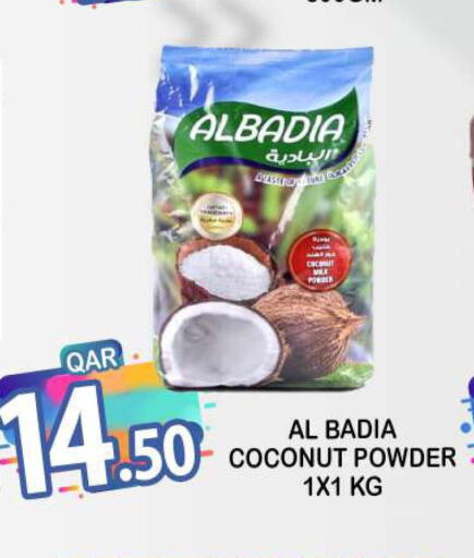  Coconut Powder  in دبي شوبينغ سنتر in قطر - الوكرة