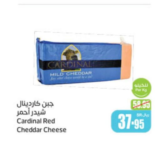  Cheddar Cheese  in أسواق عبد الله العثيم in مملكة العربية السعودية, السعودية, سعودية - مكة المكرمة