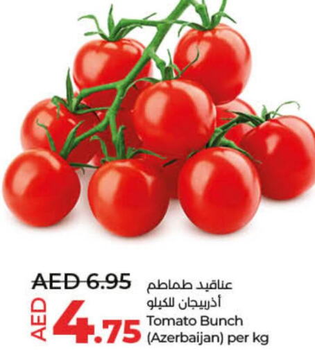  Tomato  in لولو هايبرماركت in الإمارات العربية المتحدة , الامارات - الشارقة / عجمان