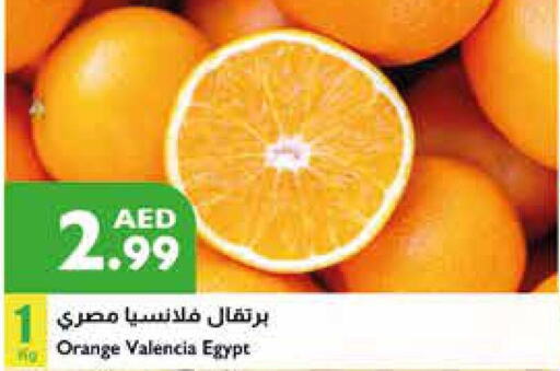  Orange  in Istanbul Supermarket in UAE - Al Ain