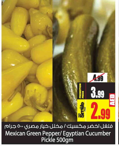  Spices / Masala  in أنصار مول in الإمارات العربية المتحدة , الامارات - الشارقة / عجمان