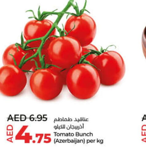  Tomato  in Lulu Hypermarket in UAE - Fujairah