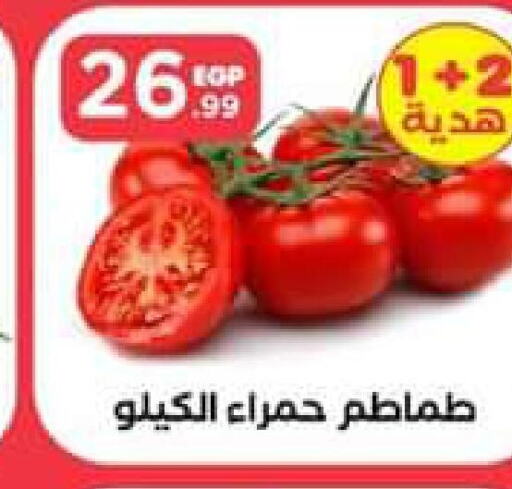  Tomato  in El Mahlawy Stores in Egypt - Cairo
