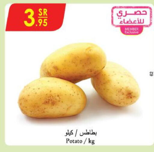  Potato  in الدانوب in مملكة العربية السعودية, السعودية, سعودية - المنطقة الشرقية