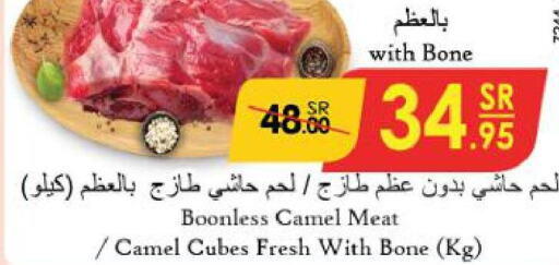  Camel meat  in الدانوب in مملكة العربية السعودية, السعودية, سعودية - المنطقة الشرقية