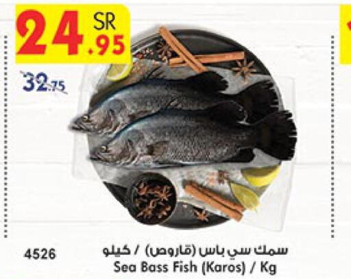  King Fish  in Bin Dawood in KSA, Saudi Arabia, Saudi - Khamis Mushait
