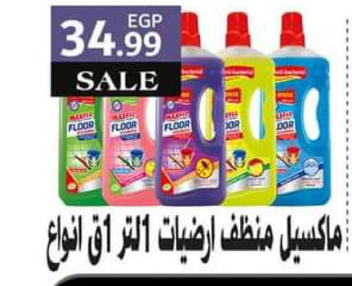  General Cleaner  in El Mahlawy Stores in Egypt - Cairo