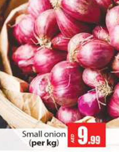  Onion  in جلف هايبرماركت ذ.م.م in الإمارات العربية المتحدة , الامارات - رَأْس ٱلْخَيْمَة
