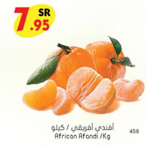  Orange  in Bin Dawood in KSA, Saudi Arabia, Saudi - Jeddah
