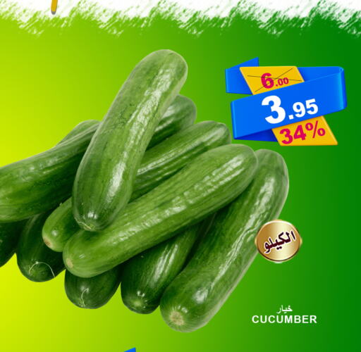  Cucumber  in أسواق خير بلادي الاولى in مملكة العربية السعودية, السعودية, سعودية - ينبع