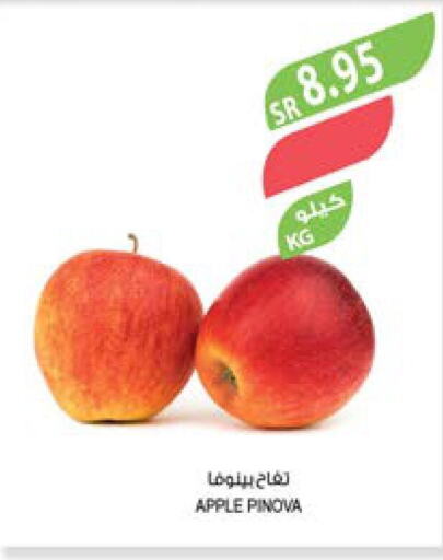  Apples  in Farm  in KSA, Saudi Arabia, Saudi - Najran