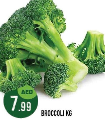  Broccoli  in أزهر المدينة هايبرماركت in الإمارات العربية المتحدة , الامارات - أبو ظبي