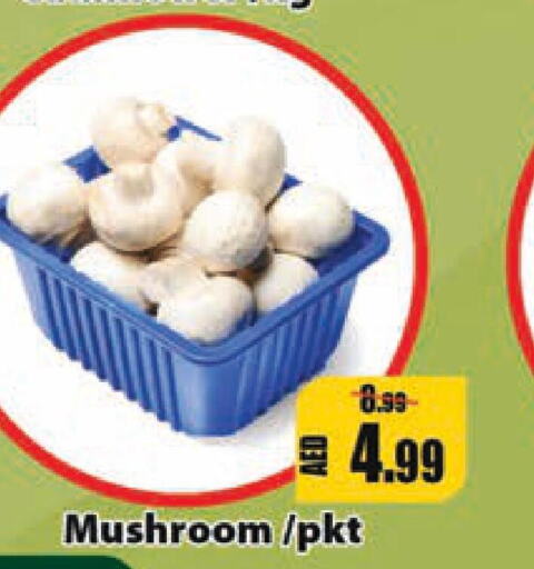  Mushroom  in ليبتس هايبرماركت in الإمارات العربية المتحدة , الامارات - أم القيوين‎