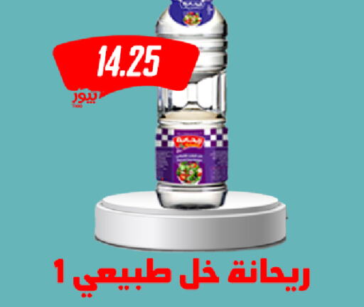  Vinegar  in هايبر سامي سلامة وأولاده in Egypt - القاهرة