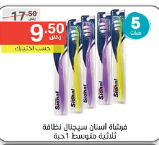 SIGNAL Toothbrush  in نوري سوبر ماركت‎ in مملكة العربية السعودية, السعودية, سعودية - مكة المكرمة