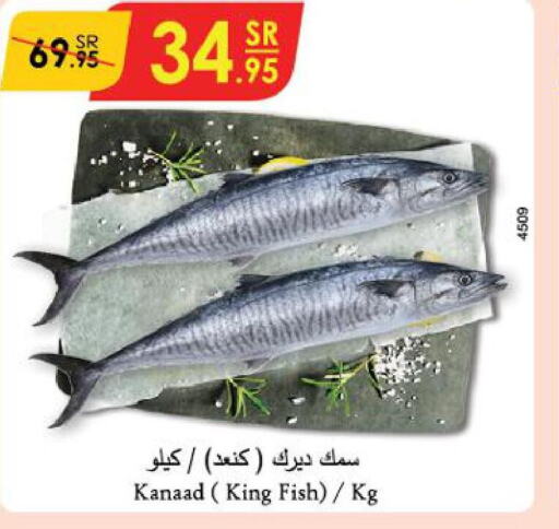  King Fish  in الدانوب in مملكة العربية السعودية, السعودية, سعودية - جازان