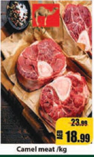  Camel meat  in ليبتس هايبرماركت in الإمارات العربية المتحدة , الامارات - رَأْس ٱلْخَيْمَة