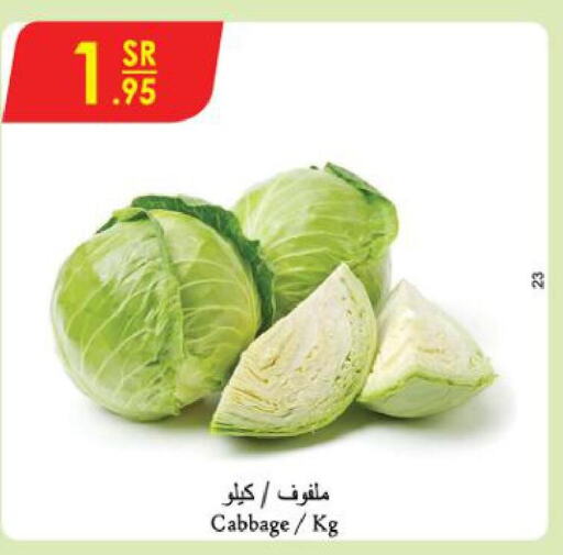  Cabbage  in Danube in KSA, Saudi Arabia, Saudi - Al Khobar