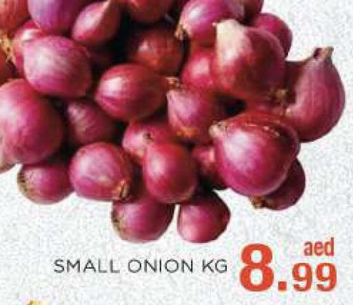  Onion  in سي.ام. سوبرماركت in الإمارات العربية المتحدة , الامارات - أبو ظبي