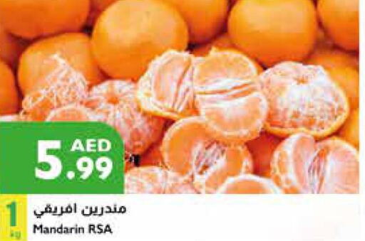  Orange  in Istanbul Supermarket in UAE - Abu Dhabi