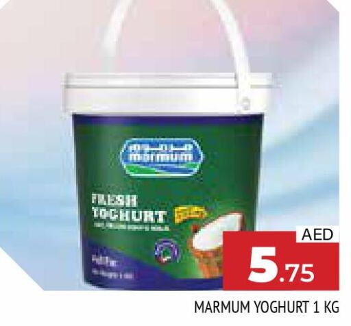 MARMUM Yoghurt  in AL MADINA in UAE - Sharjah / Ajman