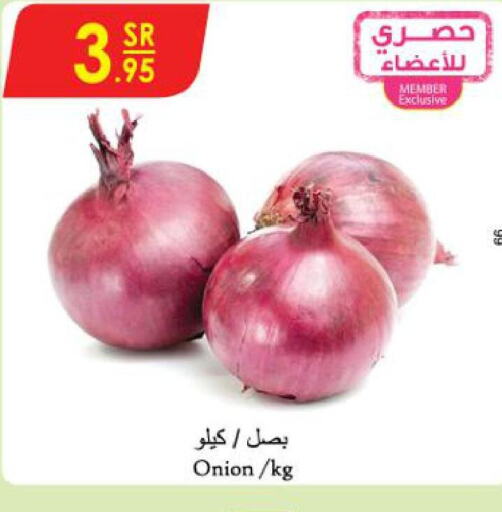  Onion  in Danube in KSA, Saudi Arabia, Saudi - Unayzah