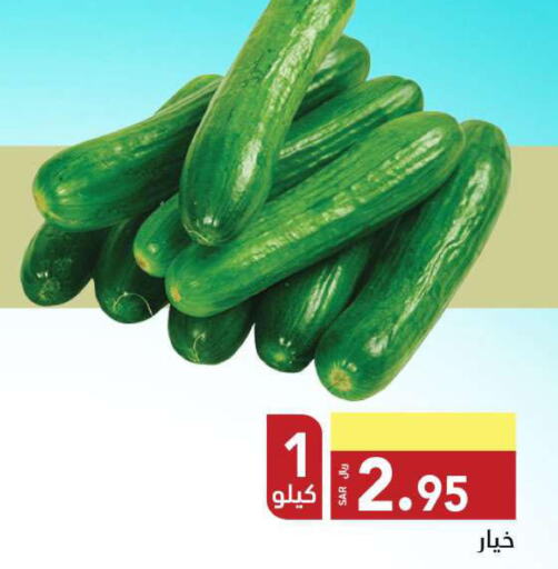  Cucumber  in مخازن هايبرماركت in مملكة العربية السعودية, السعودية, سعودية - تبوك