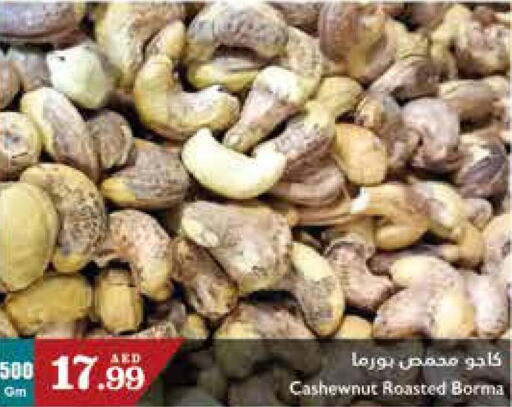  in Trolleys Supermarket in UAE - Sharjah / Ajman